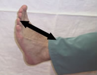 Plantar Fasciitis Foot Stretch